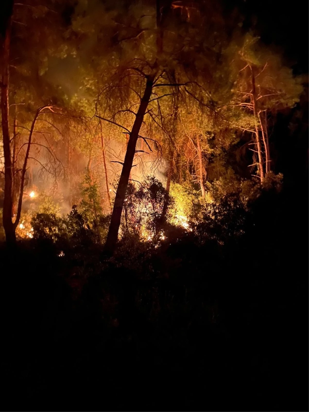 Adana İmamoğlu'nda çıkan orman yangını kontrol altına alındı