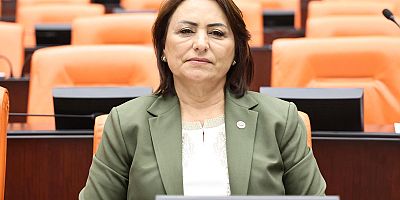 Adana Milletvekili Şevkin, Koşulsuz doğum borçlanması için kanun teklifi