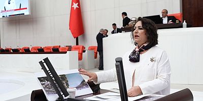 Mecliste Adana konuşuldu…